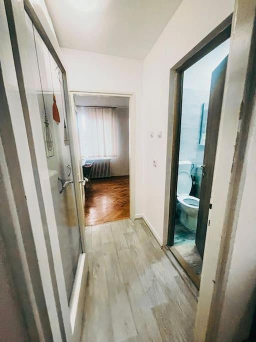 Ultracentral Big Flat Near The Opera Square P17 Тимишоара Екстериор снимка