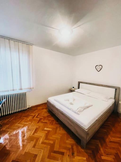 Ultracentral Big Flat Near The Opera Square P17 Тимишоара Екстериор снимка