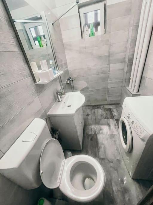 Ultracentral Big Flat Near The Opera Square P17 Тимишоара Екстериор снимка