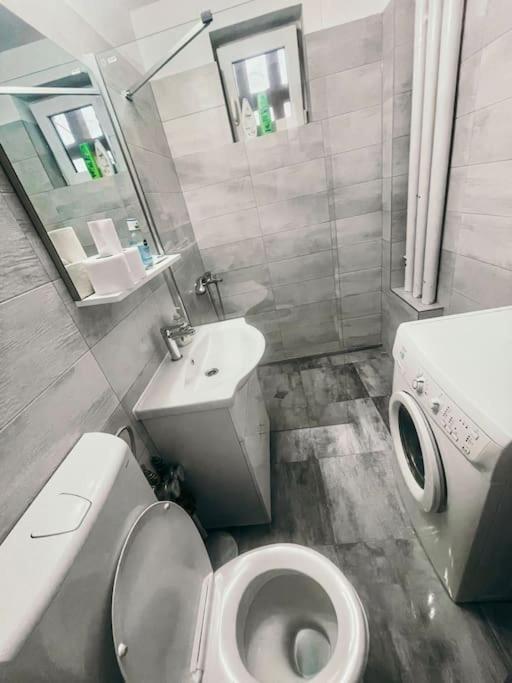 Ultracentral Big Flat Near The Opera Square P17 Тимишоара Екстериор снимка